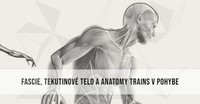 Fascie, Tekutinové telo a Anatomy Trains