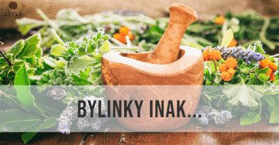 BYLINKY INAK III.